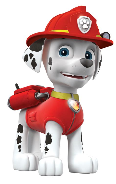 Marshall, the lovable Dalmatian from the popular animated series “Paw Patrol,” has captured the hearts of children worldwide. Known for his firefighting skills, …